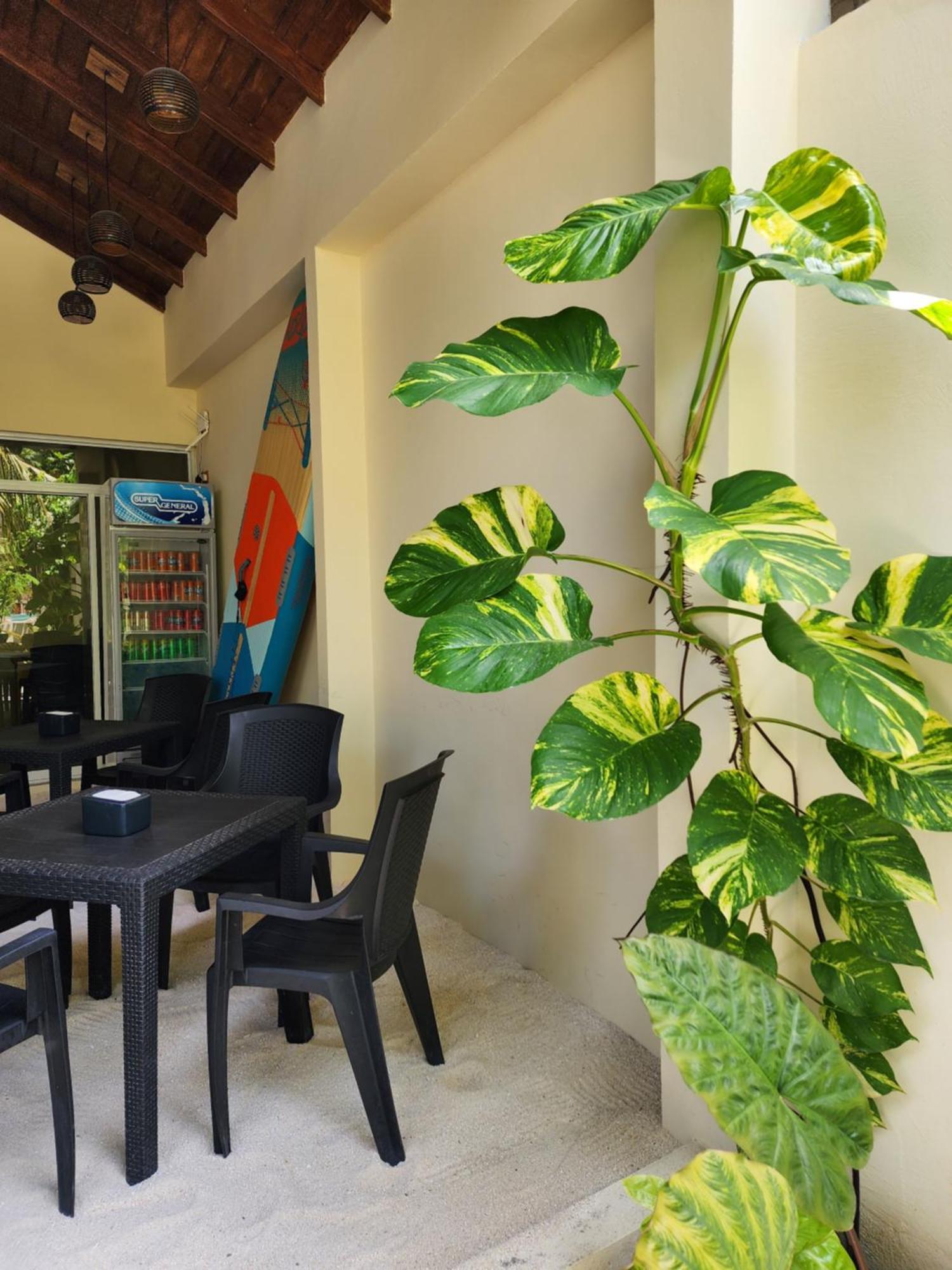 Dhigurah Dhonveli Boutique Otel Dış mekan fotoğraf